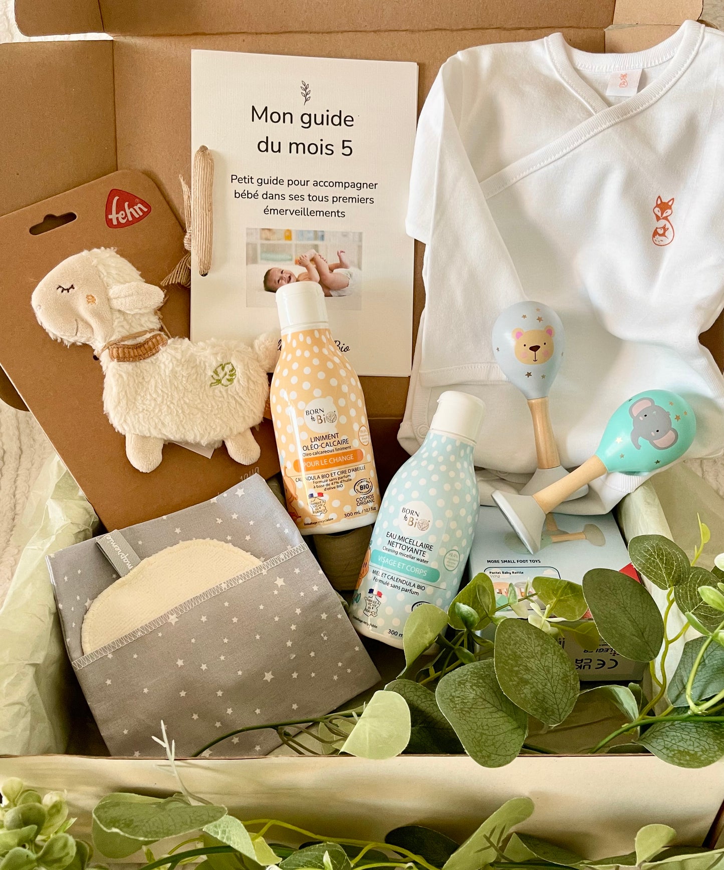 Box 5 'Les premières découvertes'