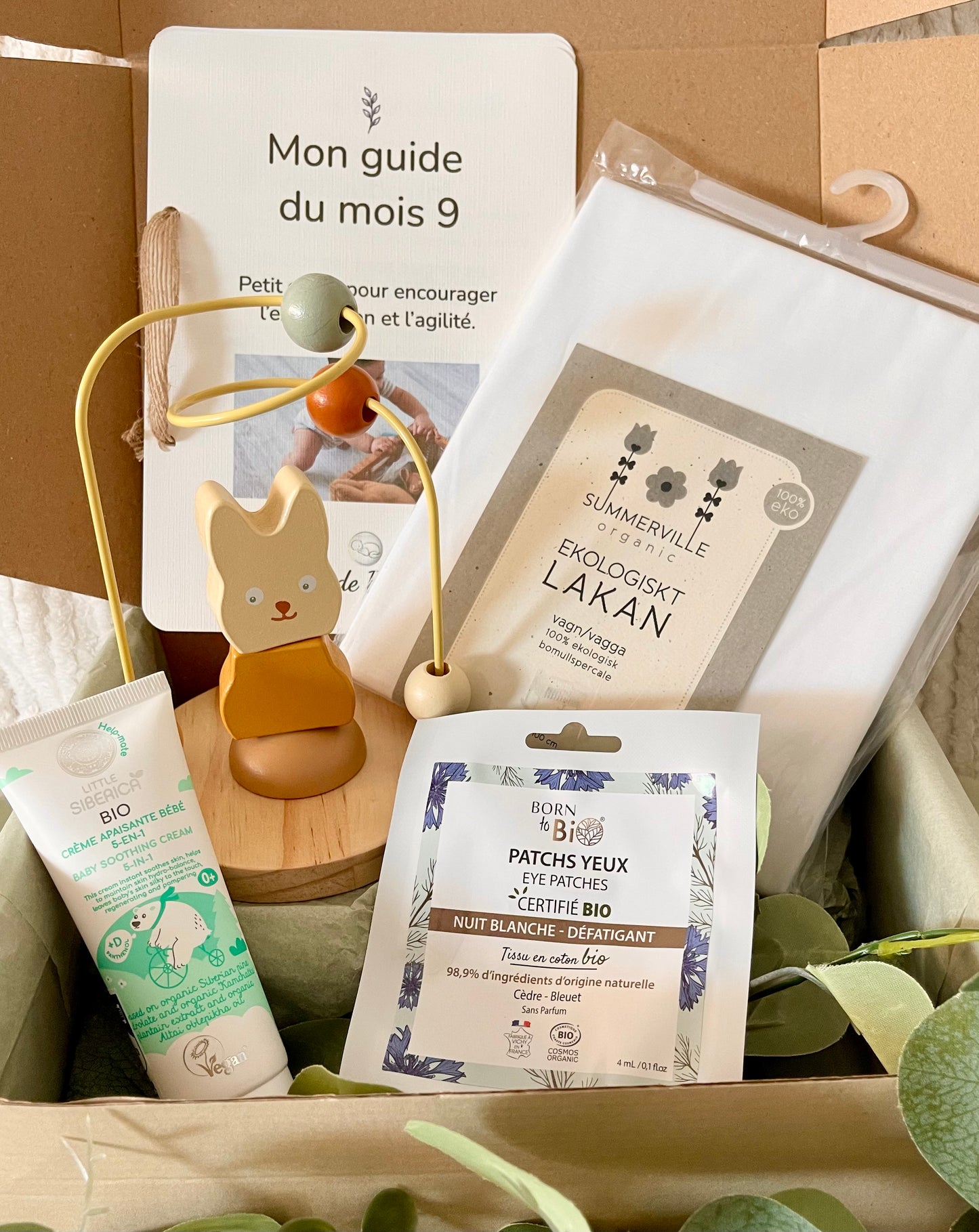 Box 9 "Curieux comme un petit singe"