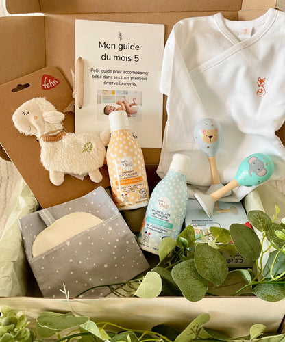 Box 5 'Les premières découvertes'