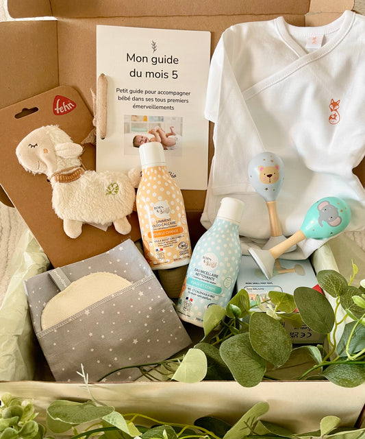 Box 5 'Les premières découvertes'